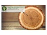 Информация о балансе предложения деловой древесины в заготовленном виде на очередной календарный год