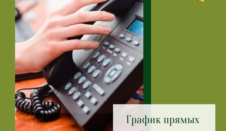 График прямых телефонных линий в ноябре 2021 г. 
