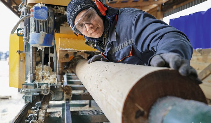 В Беларуси растет спрос на выпускаемые лесхозами деревянные домокомплекты - SB.BY
