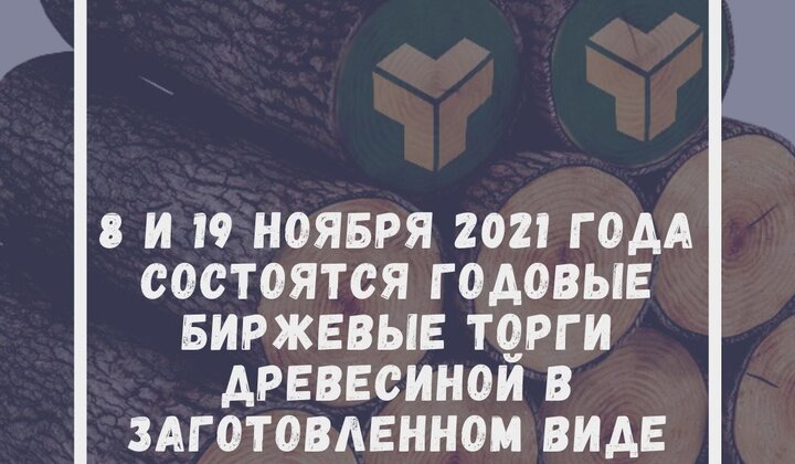 18 и 19 ноября 2021 года состоятся годовые биржевые торги древесиной в заготовленном виде ресурса 2022 года