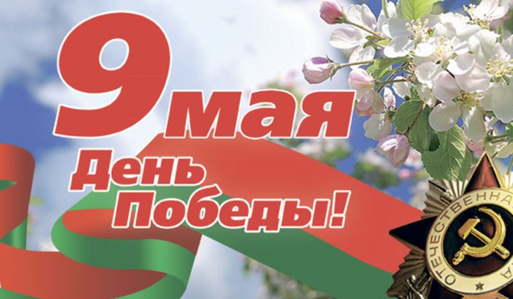 Александр Кулик поздравил работников и ветеранов лесного хозяйства с Днем Победы