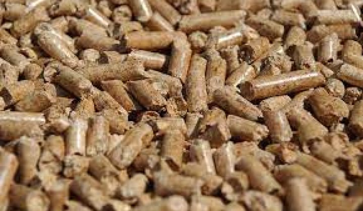 Скорректированы отпускные цены на пеллеты для отдельных потребителей
