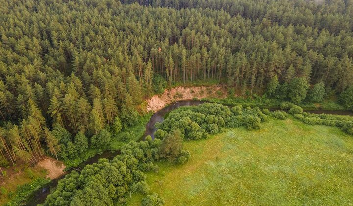 Минлесхоз предлагает обсудить изменения в Лесном кодексе