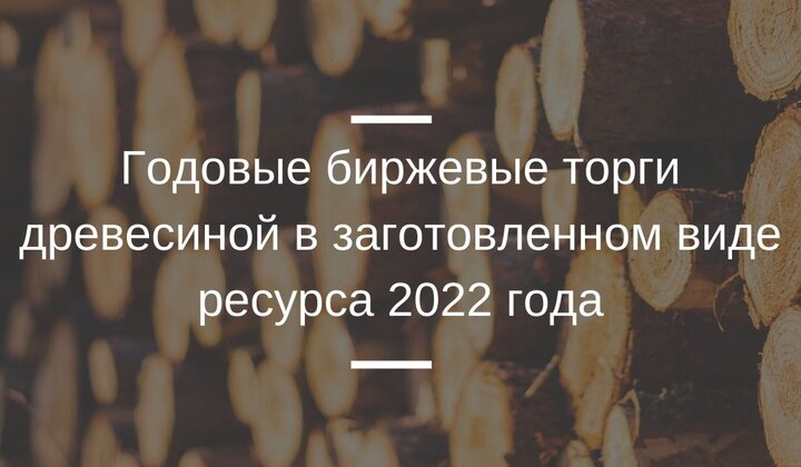 Годовые торги древесиной в заготовленном виде ресурса 2022 пройдут по новым правилам 