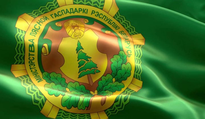 Александр Кулик: 