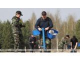 Президент отметил весомые достижения лесоводов: более 40% территории Беларуси покрыты лесом