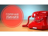 Минлесхоз запустит горячую телефонную линию по вопросам наведения порядка в лесу