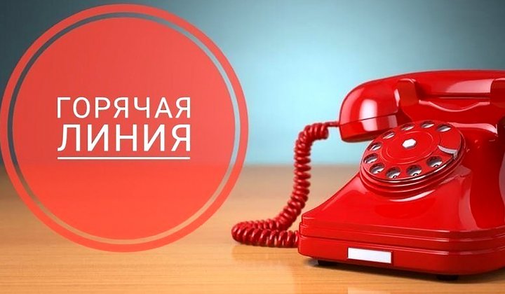 Минлесхоз запустит горячую телефонную линию по вопросам наведения порядка в лесу
