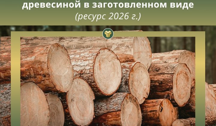 ГОДОВЫЕ БИРЖЕВЫЕ ТОРГИ древесиной в заготовленном виде ресурса 2026 г. ПЕРЕНОСЯТСЯ  на 25 и 27 ноября 2025 г. 