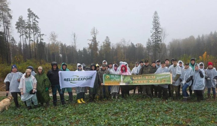 Сегодня, 25 октября, сотрудники УП «БЕЛЛЕСЭКСПОРТ» активно участвуют в акции «Дай лесу новае жыццё!»