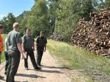 Поручение Президента принято к исполнению. Как в стране будут решать проблему вывозки древесины с опушек леса?
