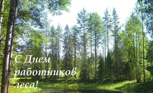 С Днем работников леса!