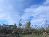 В Вилейском районе состоялся выездной штаб по вопросам устранения последствий вчерашней непогоды