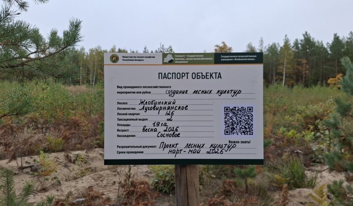 Быть понятнее для людей. В лесах Беларуси начали массово устанавливать специальные информационные знаки