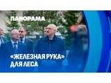 Увеличивать заготовку леса и по максимуму использовать отечественную технику. Итоги визита Президента на ООО 