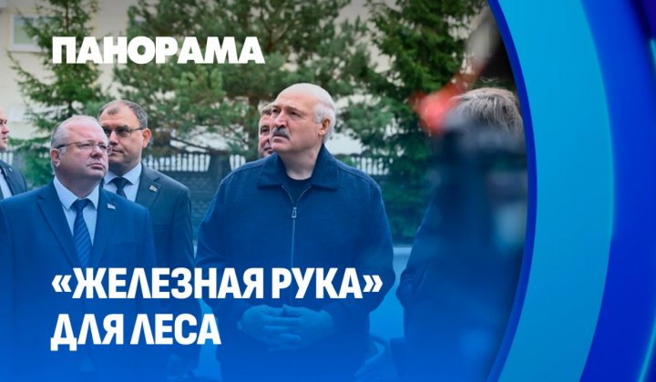 Увеличивать заготовку леса и по максимуму использовать отечественную технику. Итоги визита Президента на ООО 